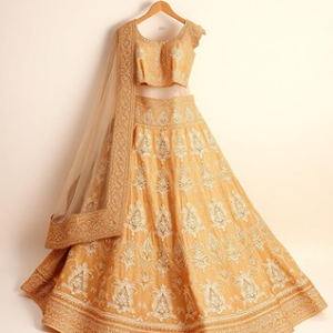 Aria Embroidered Lehenga
